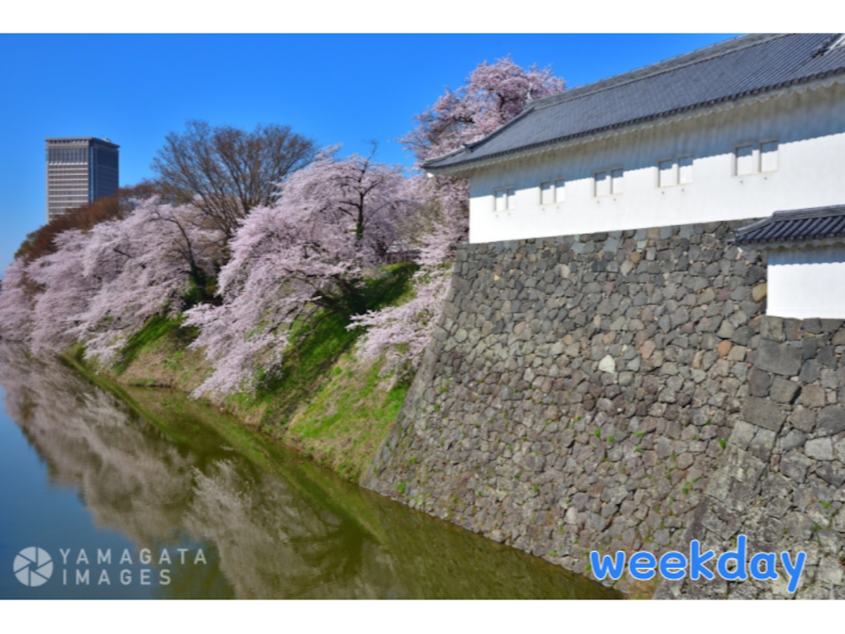 期間限定出品】和歌山バス 側面幕(一部分のみ) 期間限定出品 期間限定出品】和歌山バス 側面幕(一部分のみ) 期間限定出品